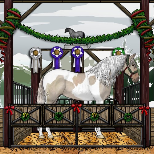 Horse Color:Silver Grullo Roan Tobiano