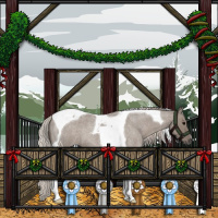 Horse Color:Silver Grullo Roan Tobiano 