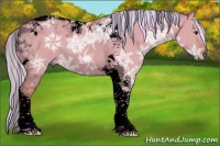 Horse Color:Void Watercolor Silver Brown Ice Dun Tobiano