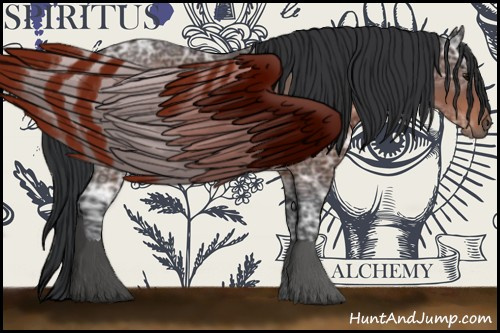 Horse Color:Brown Ice Sabino Rabicano 