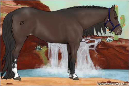 Horse Color:Liver Chestnut Sabino Varnish