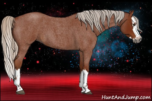 Horse Color:Gray Silver Bay Roan Splash 