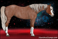 Horse Color:Gray Silver Bay Roan Splash 