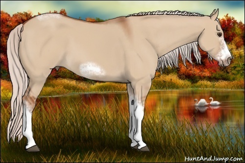 Horse Color:Silver Bay Dun Sabino Tobiano Frame Rabicano 