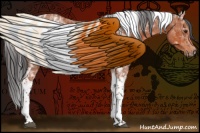 Horse Color:Brown Tobiano 