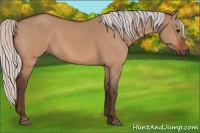 Horse Color:Silver Bay Dun 