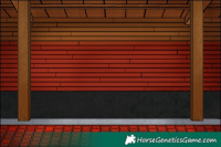 Horse Color:Chocolate Palomino