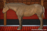 Horse Color:Chocolate Palomino