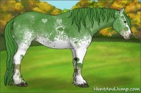 Horse Color:Watercolor White Spotted Liver Chestnut Sabino 