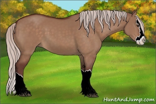 Horse Color:Chocolate Silver Brown Dun Sabino Splash 