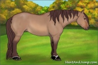Horse Color:Chocolate Brown Roan Dun 