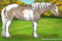 Horse Color:White Spotted Liver Red Dun Tobiano Rabicano