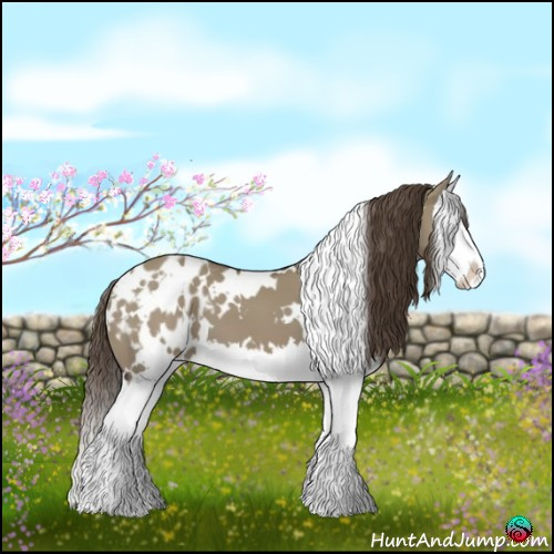 Horse Color:White Spotted Smoky Grullo Sabino Splash Appaloosa 
