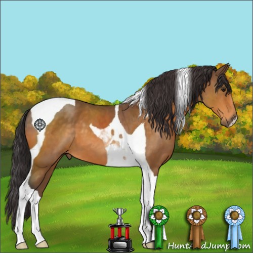 Horse Color:Buckskin Tobiano 