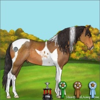 Horse Color:Buckskin Tobiano 