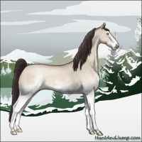 Horse Color:White Spotted Sable Champagne Dun