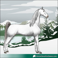 Horse Color:Brown Dun Sabino Varnish