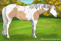 Horse Color:Silver Bay Dun Splash Tobiano 