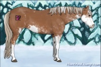 Horse Color:Chestnut Sabino