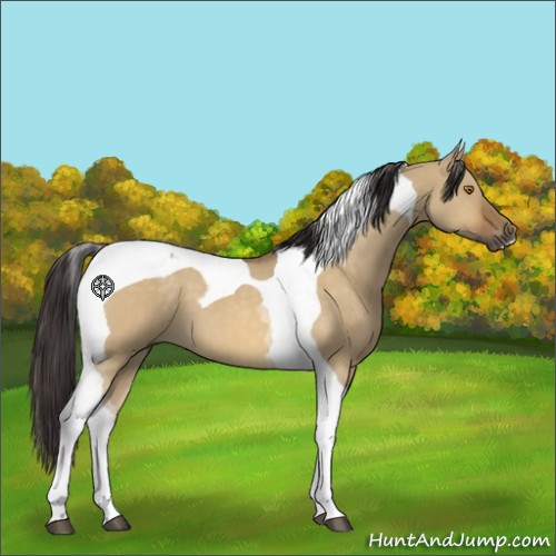 Horse Color:Buckskin Dun Tobiano