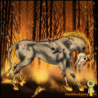 Horse Color:Void White Spotted Palomino Roan Dun