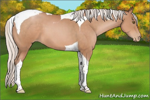 Horse Color:Silver Brown Pearl Tobiano 