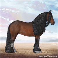 Horse Color:Bay Rabicano 