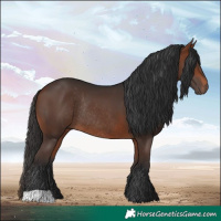 Horse Color:Bay Rabicano 