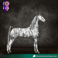 Horse Color:Gray Brown Rabicano  and Brown Varnish 