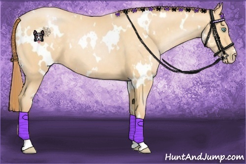 Horse Color:White Spotted Buckskin Pearl 