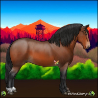 Horse Color:Bay 