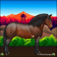 Horse Color:Brown 