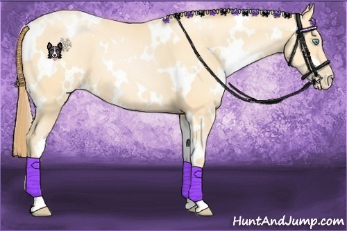 Horse Color:White Spotted Buckskin Pearl 