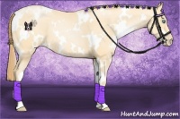 Horse Color:White Spotted Buckskin Pearl