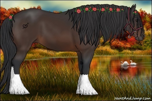 Horse Color:Brown 