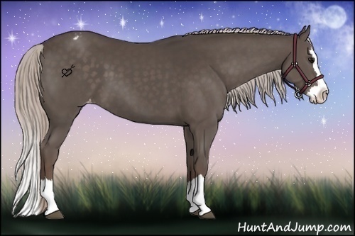 Horse Color:Silver Black Sabino Splash Varnish