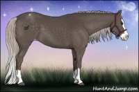 Horse Color:Silver Black Sabino Splash Varnish 