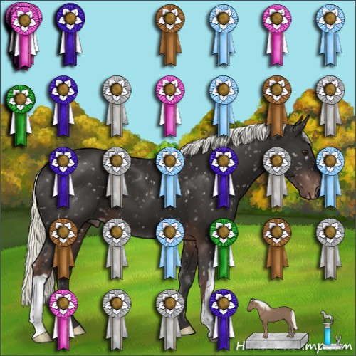 Horse Color:Liver Chestnut Mushroom Appaloosa