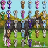 Horse Color:Liver Chestnut Mushroom Snowflake Varnish