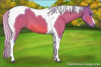 Horse Color:Watercolor Silver Brown Tobiano 