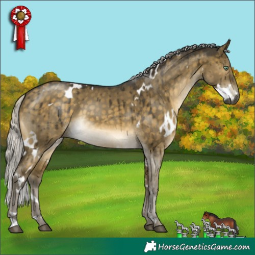 Horse Color:White Spotted Silver Buckskin Dun Mushroom Brindle