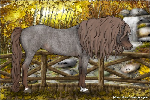 Horse Color:Liver Red Roan