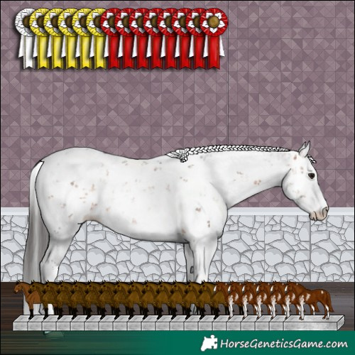 Horse Color:Brown Sabino Rabicano 