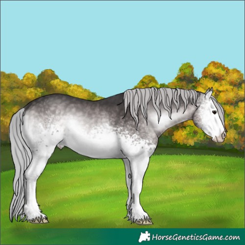 Horse Color:Platinum White Spotted Silver Buckskin Onyx Sabino 