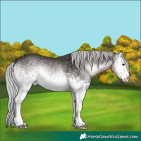 Horse Color:Platinum White Spotted Silver Buckskin Onyx Sabino 