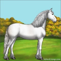 Horse Color:Gray Silver Brown Dun Tobiano 