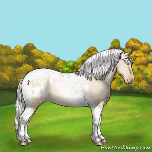 Horse Color:Silver Smoky Grullo Pearl Tobiano Appaloosa 