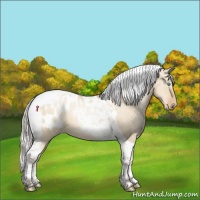 Horse Color:Silver Smoky Grullo Pearl Tobiano Appaloosa 