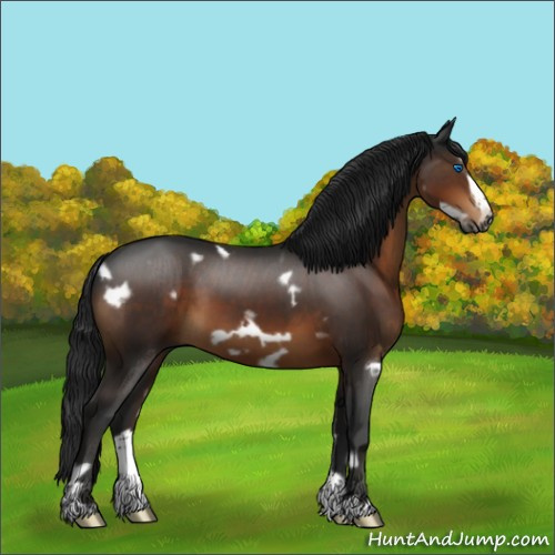 Horse Color:Gray White Spotted Brown Frame 
