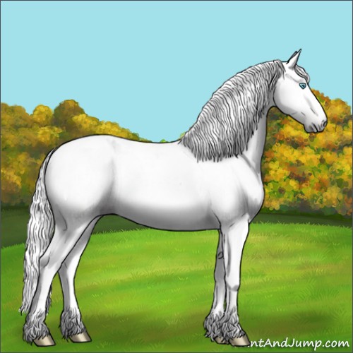 Horse Color:Gray White Spotted Silver Sable Cream Champagne Pearl Dun Appaloosa 